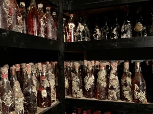 vino-1